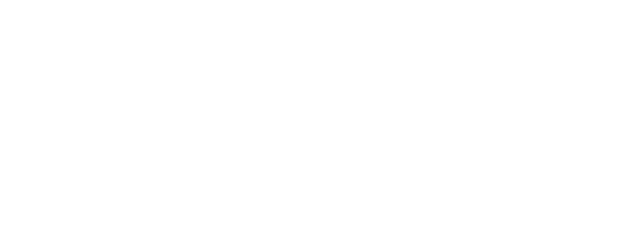 Excellence in Leadership